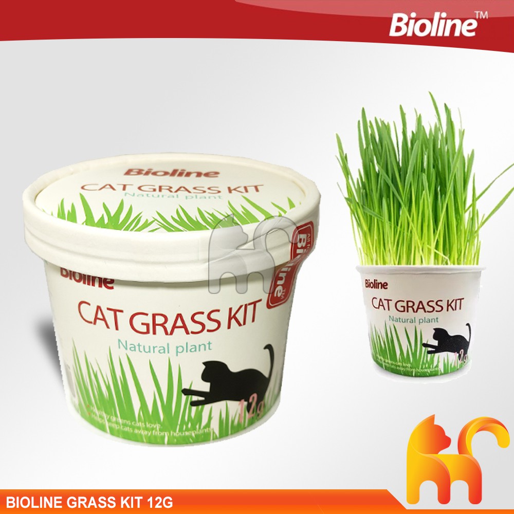 Bioline cat outlet grass kit