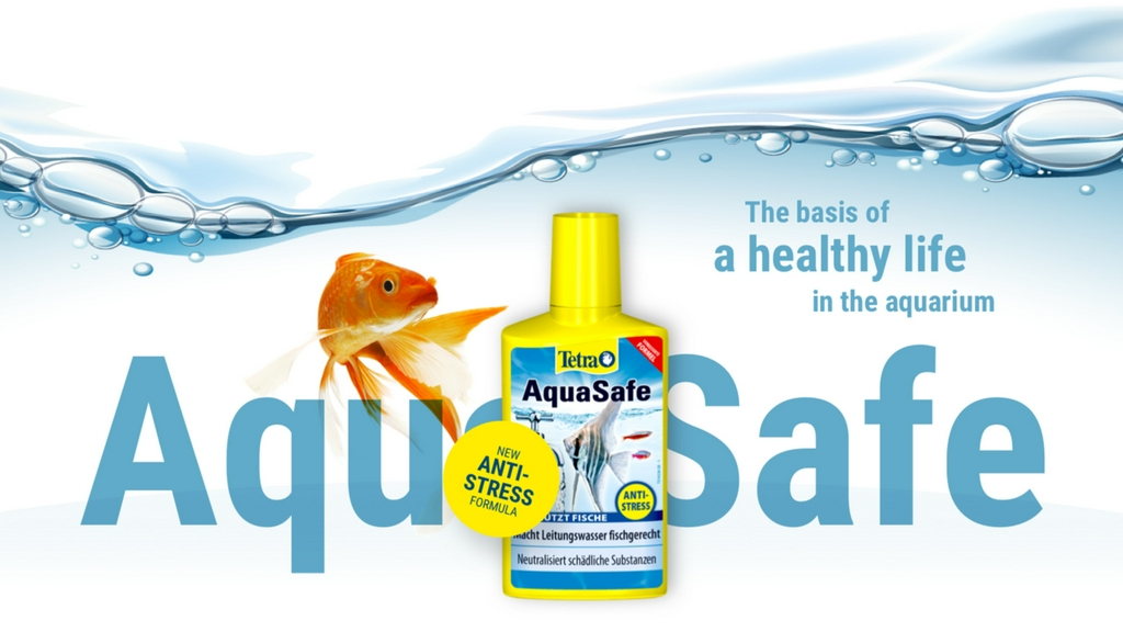 Chew Thean Yeang Aquatic & Pet, Online Shop | Shopee Malaysia