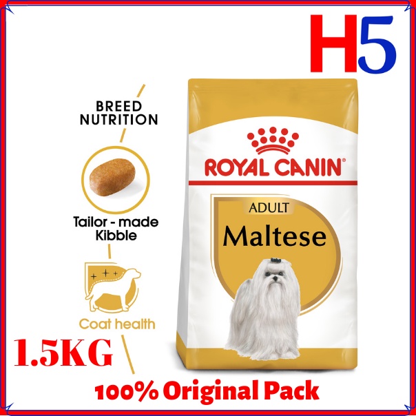 Royal maltese best sale