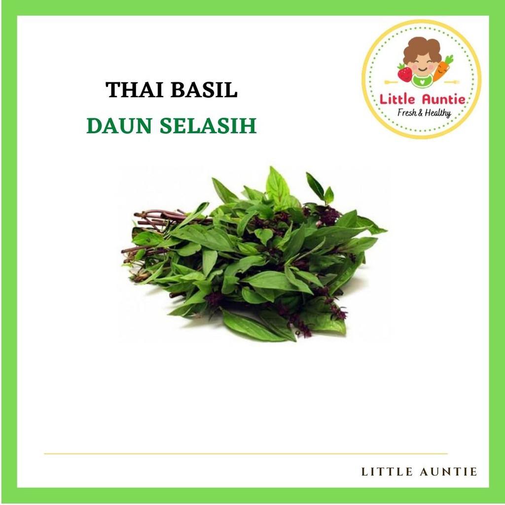 Thai Basil Leaves Daun Selasih 100g OR 200g Shopee Malaysia