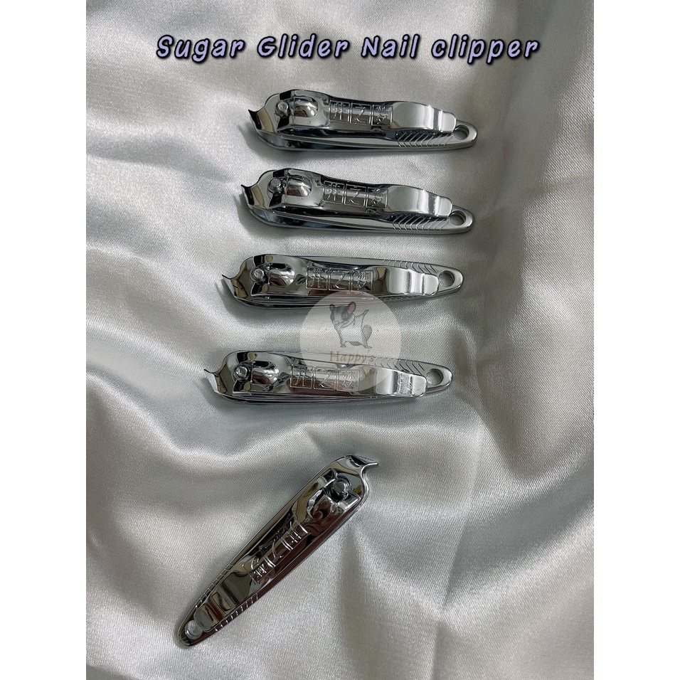 Sugar glider nail store clippers