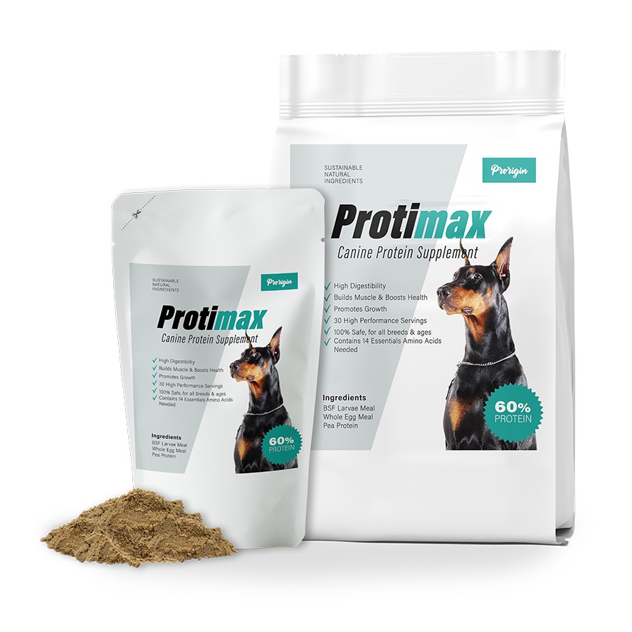 Supplement to help dogs gain weight sale