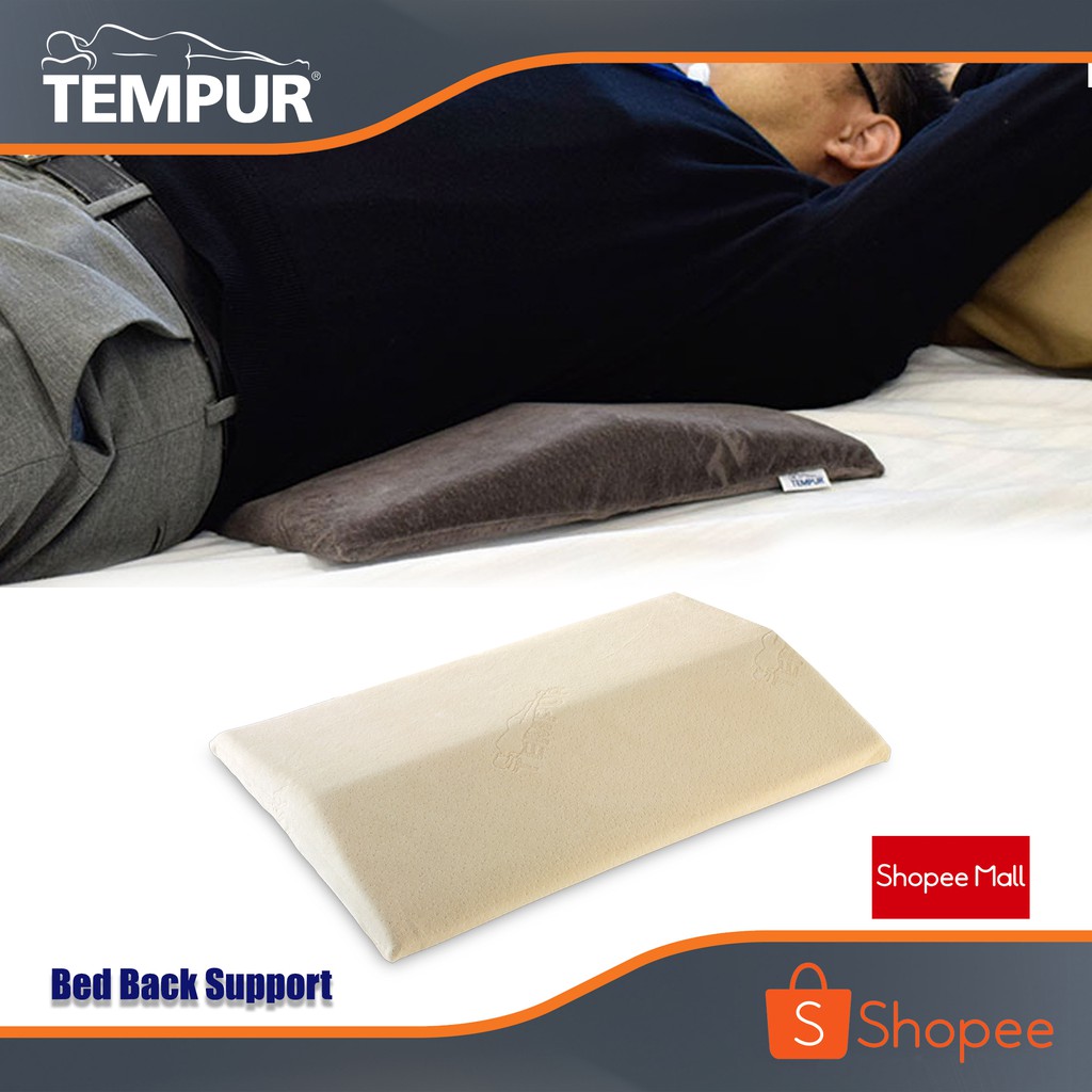 Tempur 2024 back pillow