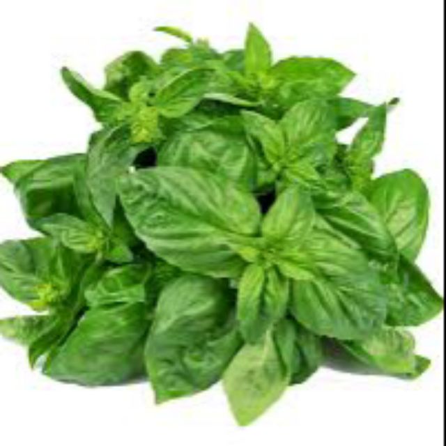 Sweet basil leaf from cameron 100g Shopee Malaysia