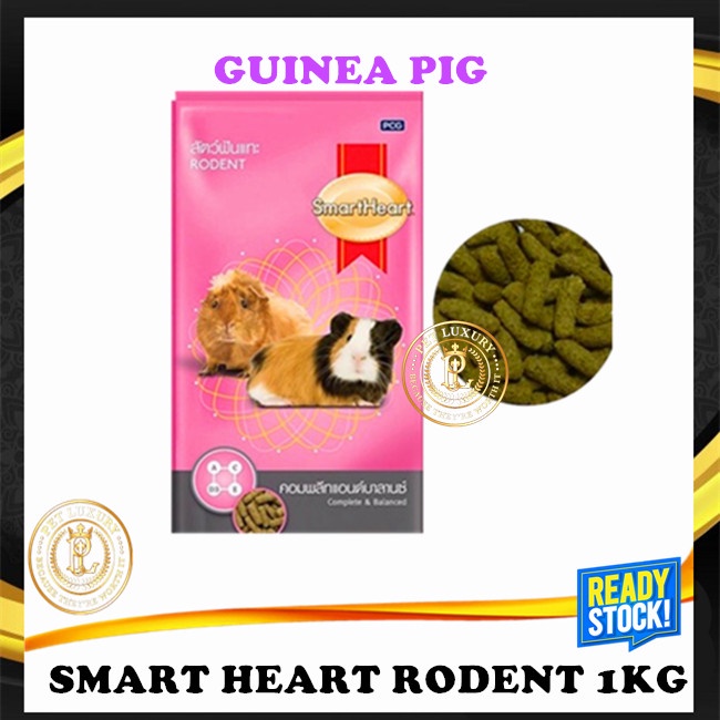 Smart heart 2024 guinea pig