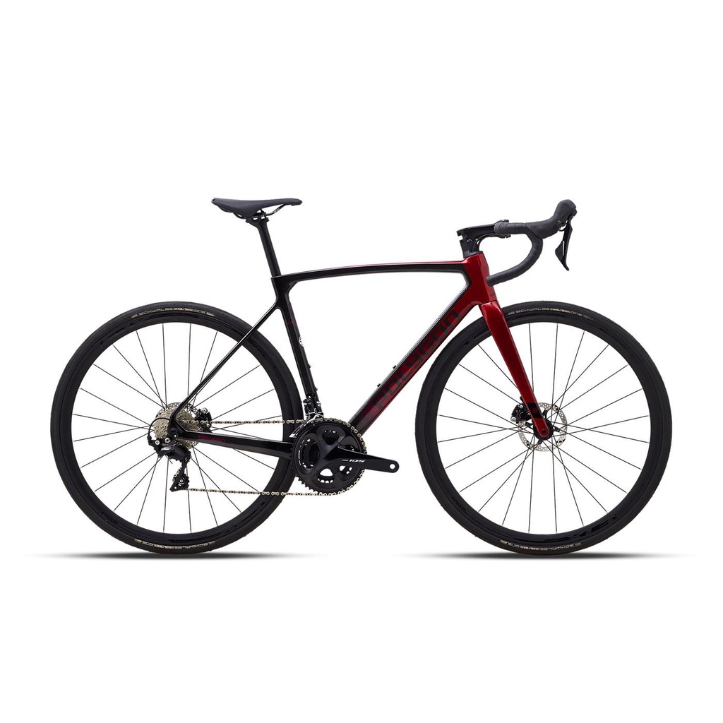 Polygon carbon shop road bike