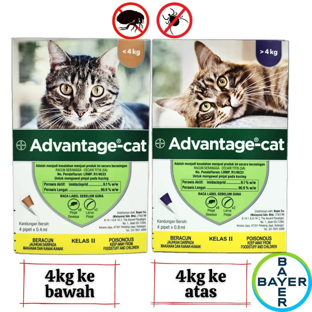 Bayer cat shop flea treatment