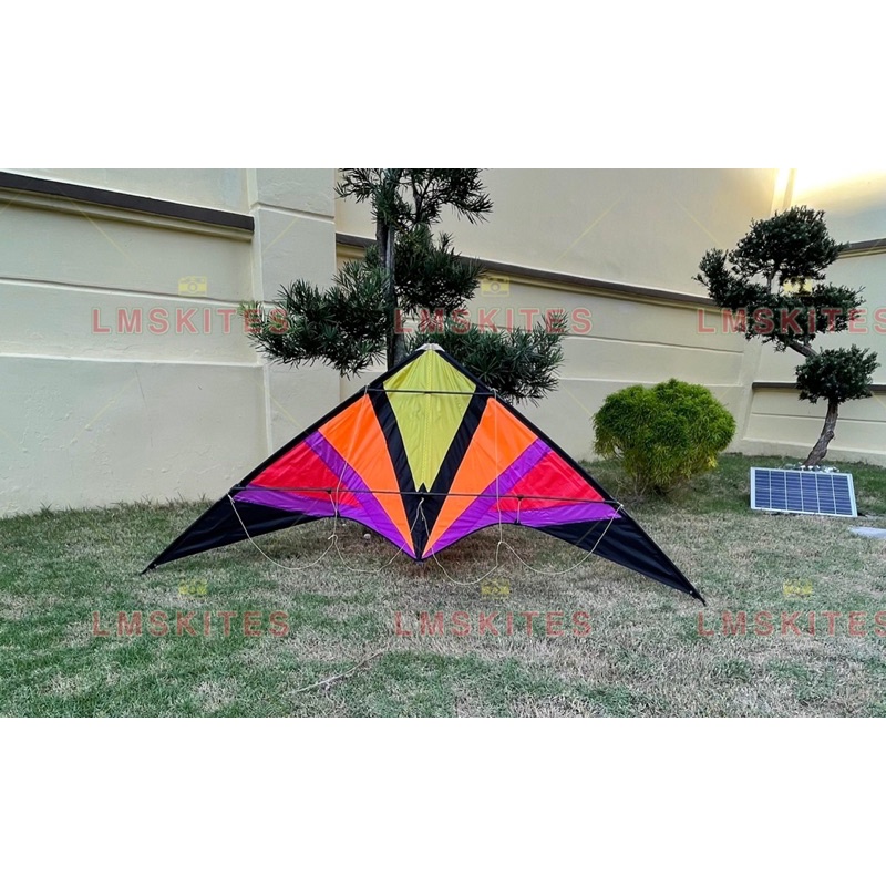 1.8m Showy Stunt Kite [Loud][Fiberglass Rod] Albatross stunt kite dual line  kite