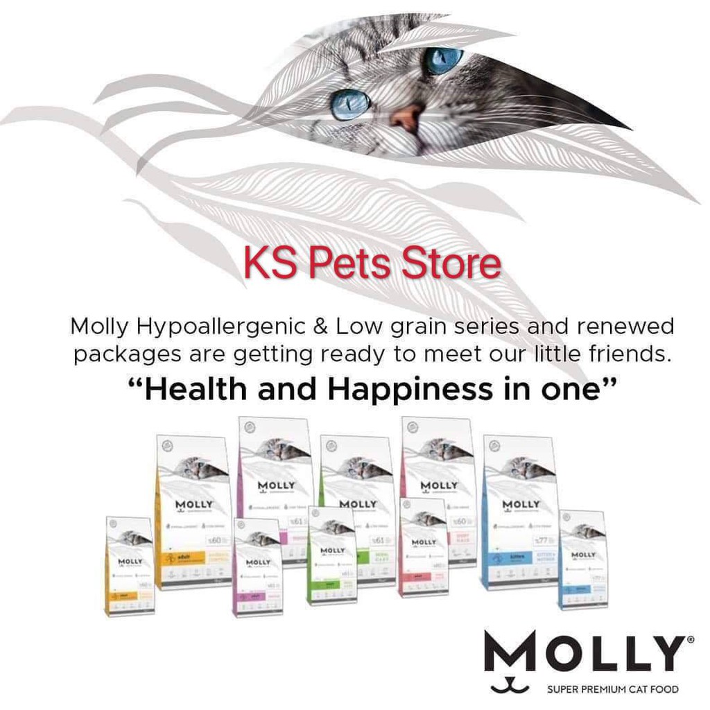 Molly 2024 cat food