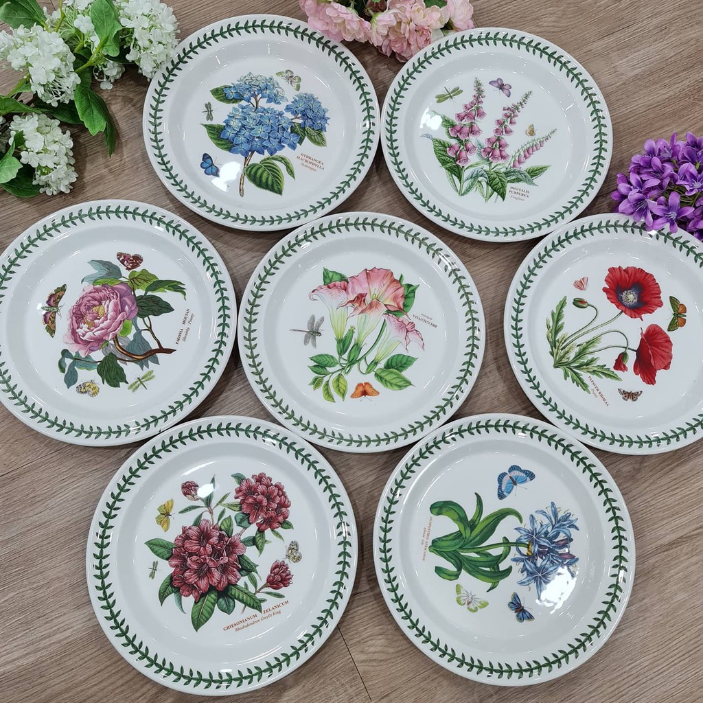 Single hotsell dinner plates