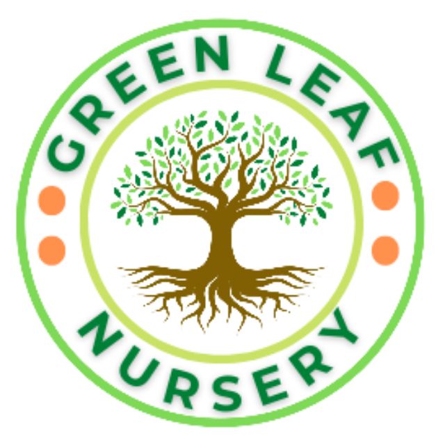 Green Leaf Nursery, Online Shop Shopee Malaysia