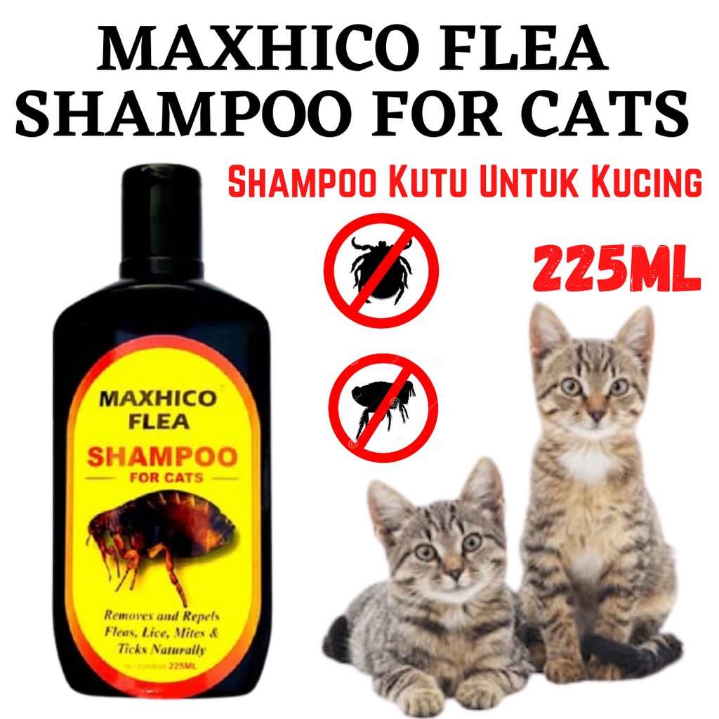 Cat on sale lice shampoo