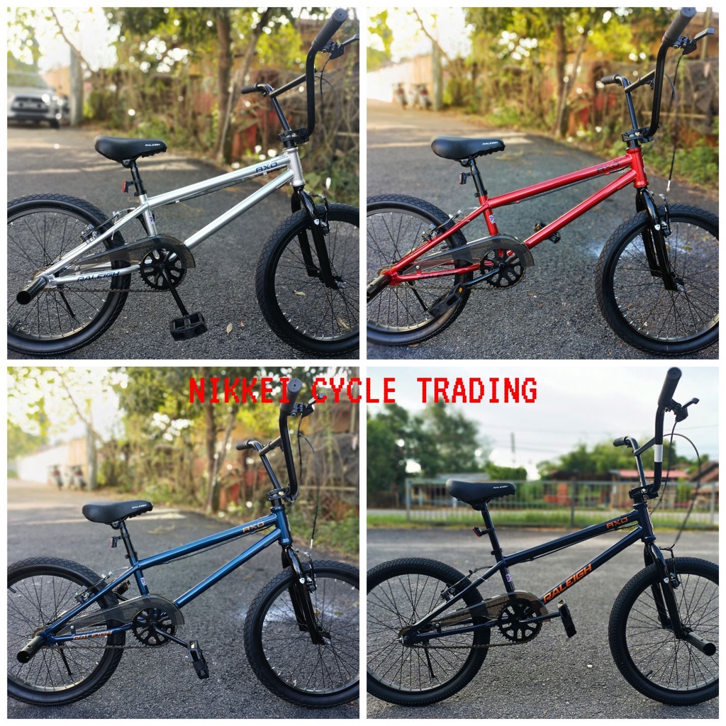 Raleigh discount axo bmx