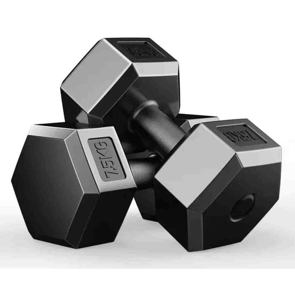 Dumbbell 10kg online shopee