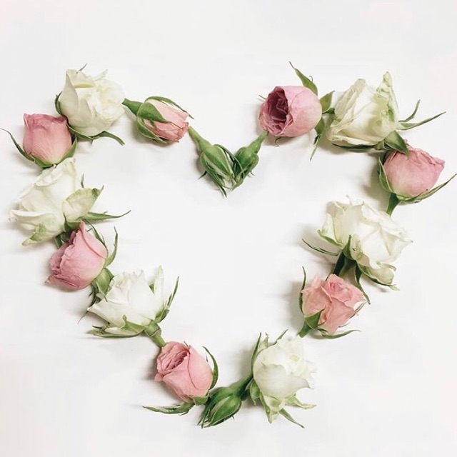 U RICO Enterprise, Online Shop Shopee Malaysia