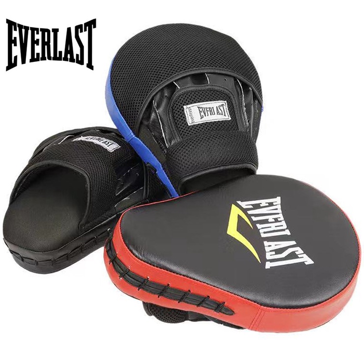 Everlast boxing best sale gloves target