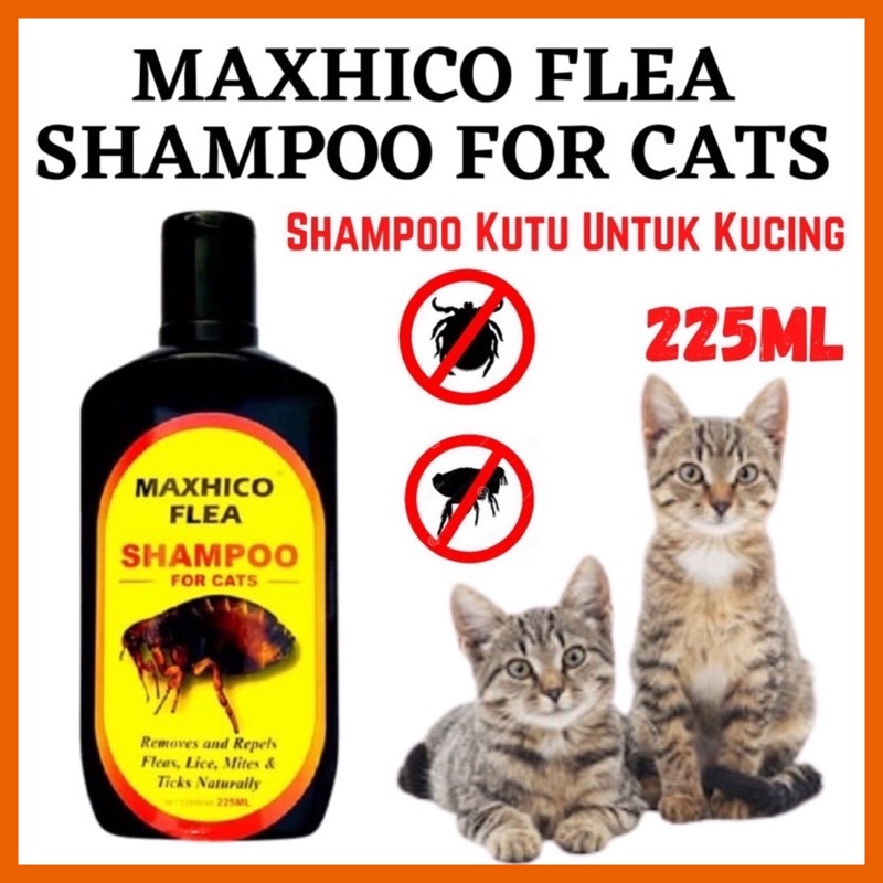 Online Pet Store _ Malaysia, Online Shop Shopee Malaysia