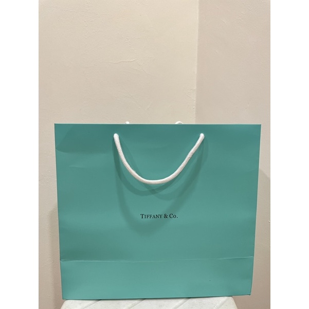 Tiffany best sale gift bag