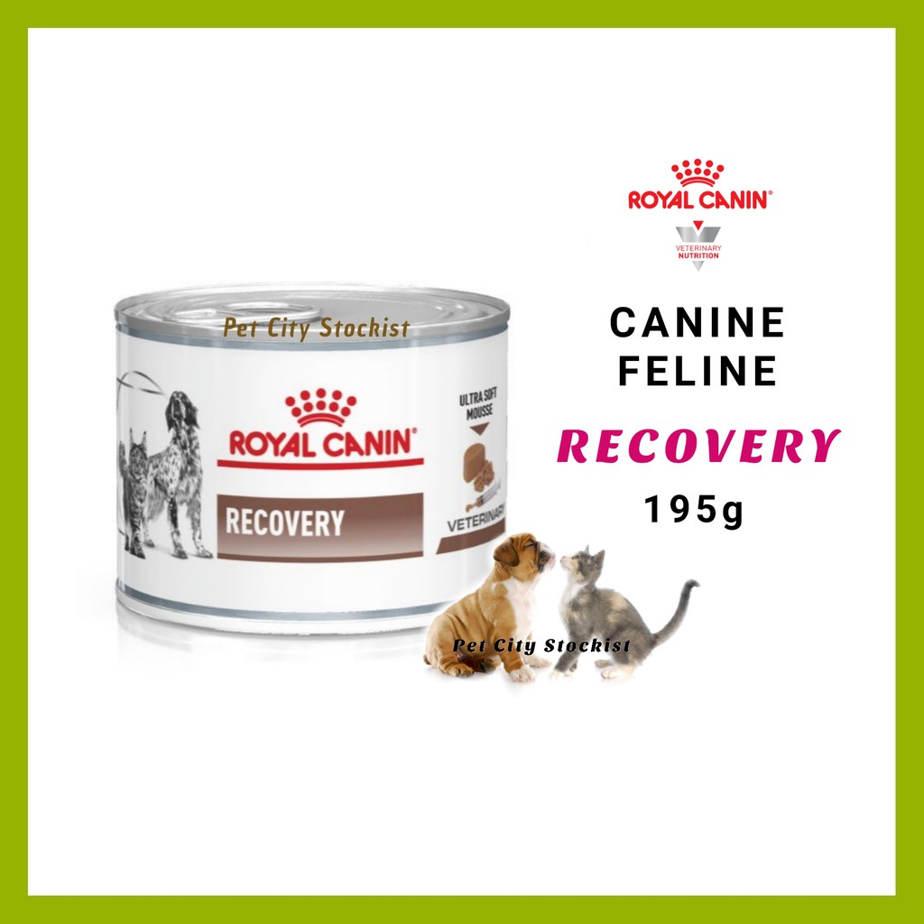 Royal Canin RECOVERY Diet Can Wet Food for Cats and Dogs 195g