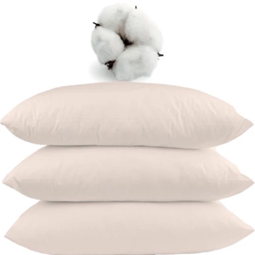 Organic best sale cotton pillow