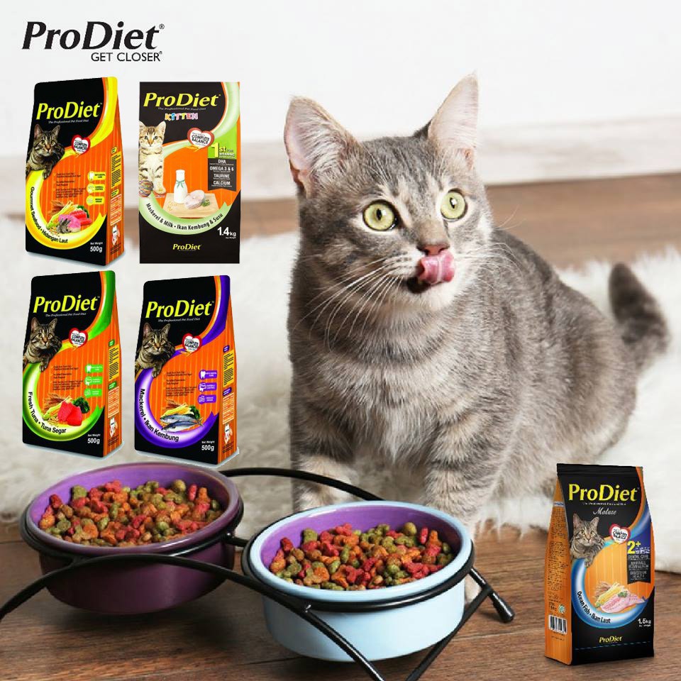 Pro diet cat clearance food