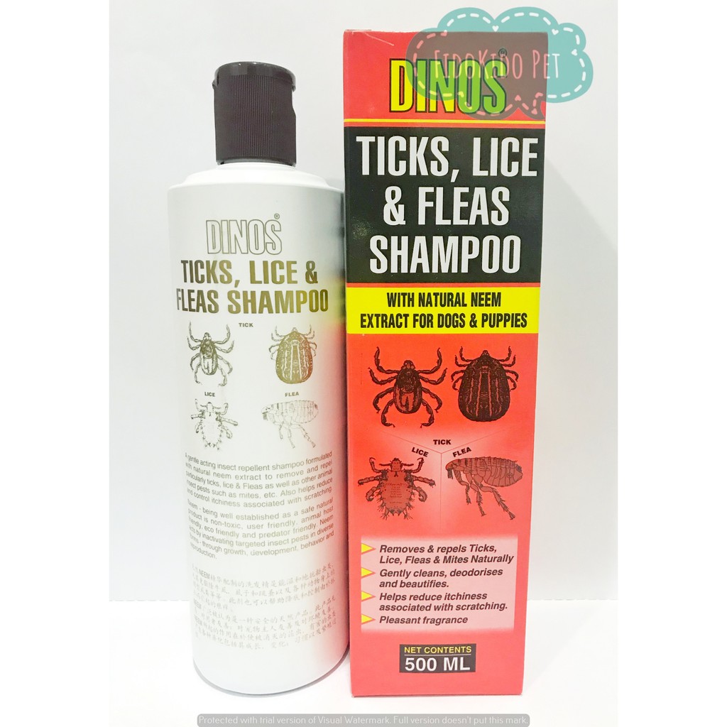 Dinos ticks lice shop & fleas shampoo