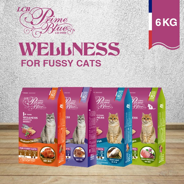 Blue wellness outlet cat food