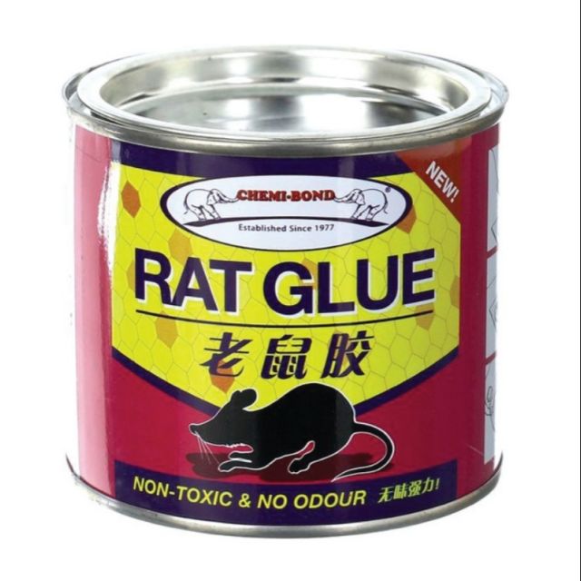 Rat glue deals