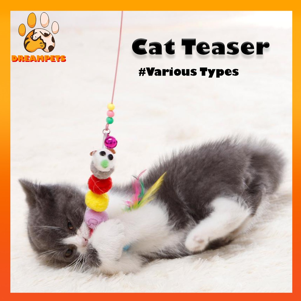 Cat teaser outlet toy