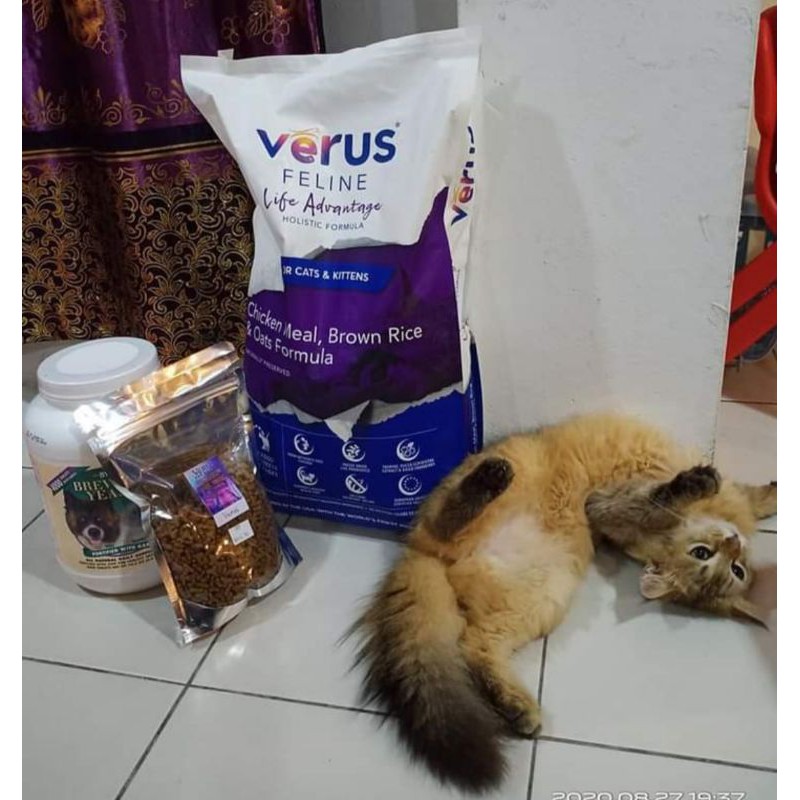 Verus feline outlet