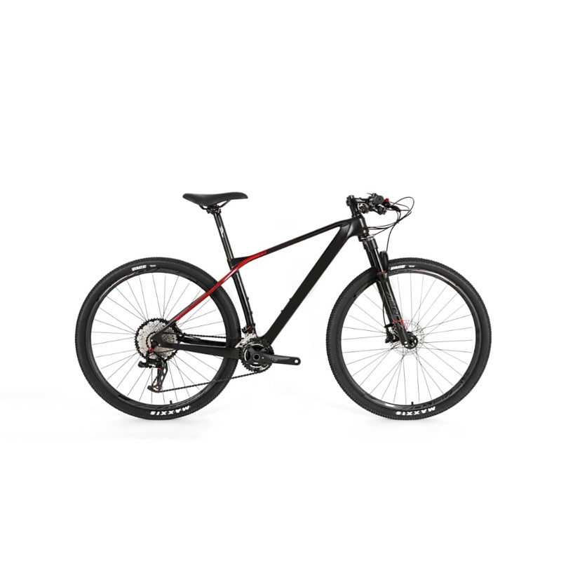 Mountain bike online body frame