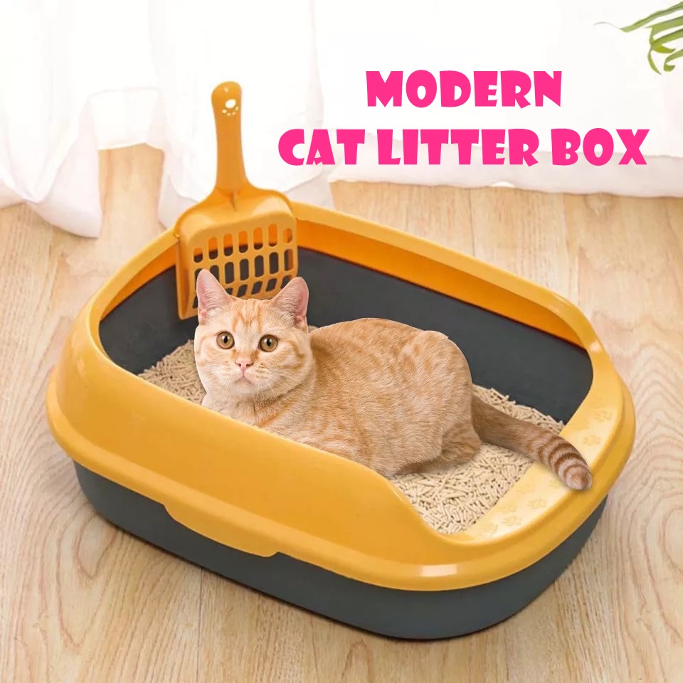 Cat sand 2024 litter box