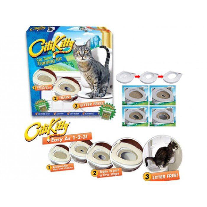 Citikitty amazon outlet