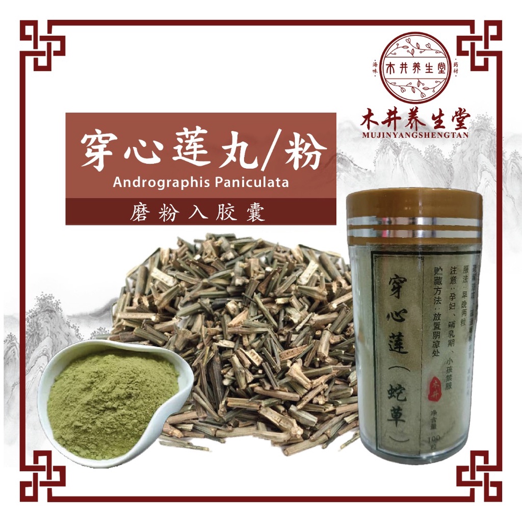 穿心莲】蛇草磨粉入胶囊【100粒】 /【50g】BUMI HEMPEDU（King of