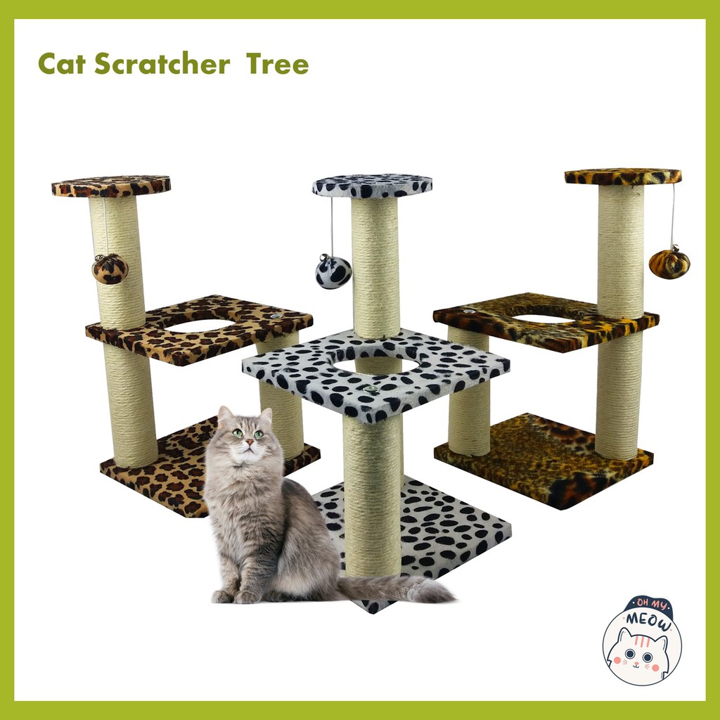 Cat shop scratcher shopee