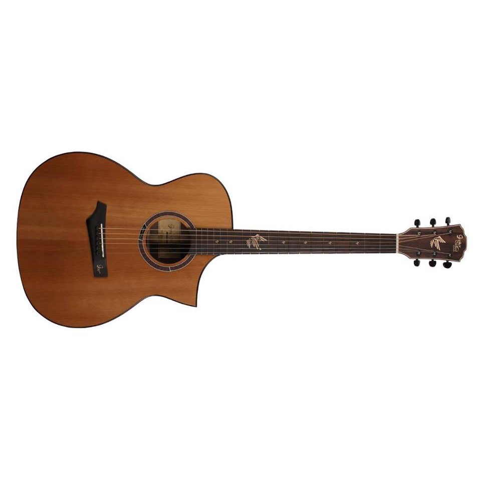 Gopher Wood Guitars i320rbe エレアコ - ギター