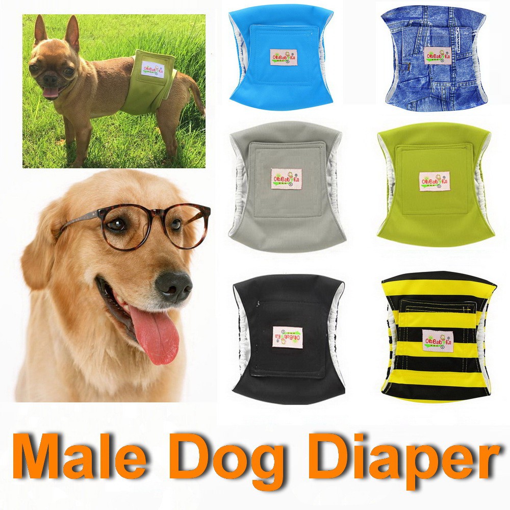 Diapers for outlet dogs male