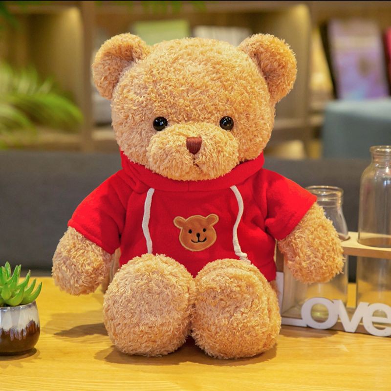 Shopee teddy clearance bear