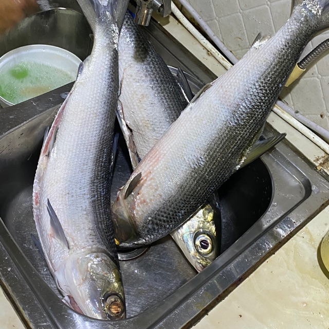 Fishing Gear shop, Online Shop | Shopee Malaysia