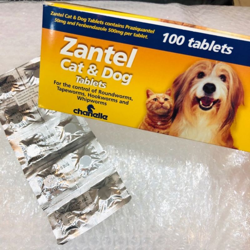 Zantel cat and store dog