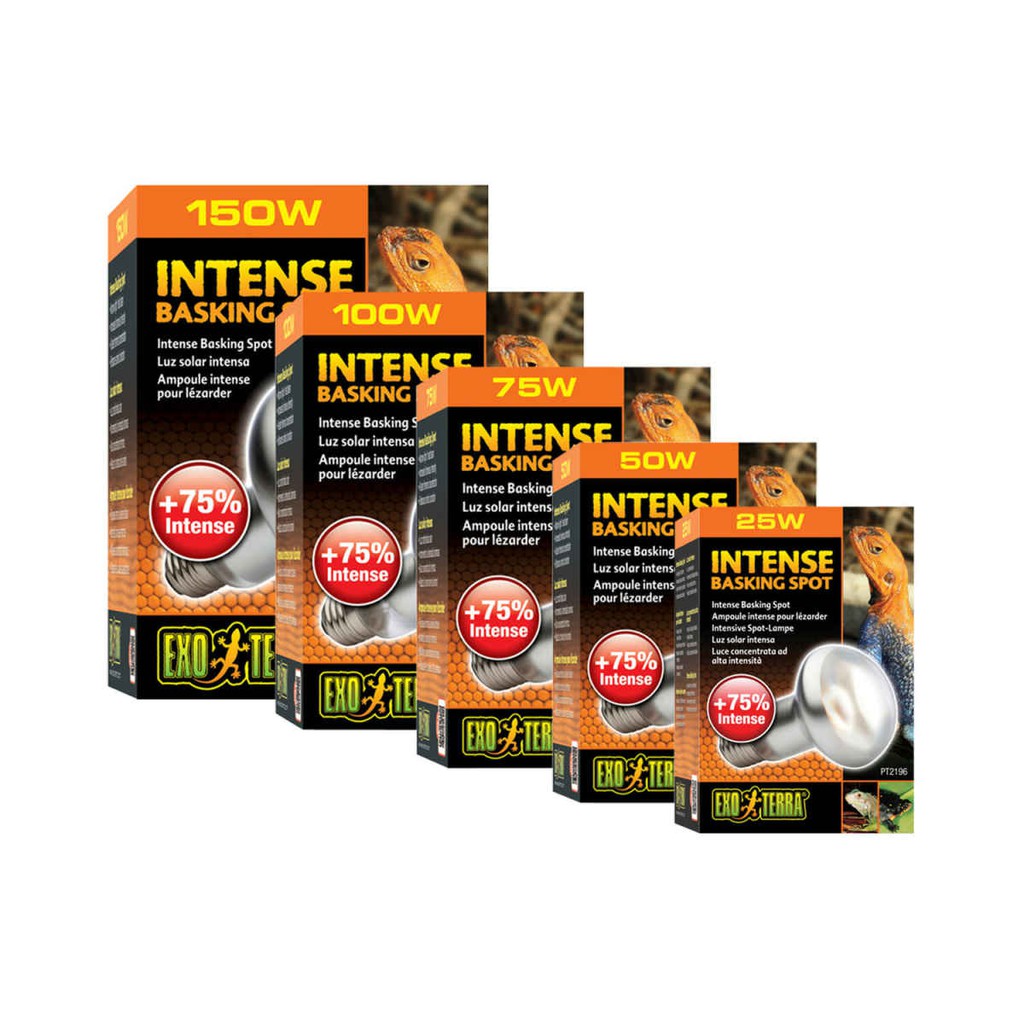 Exo terra 150 watt intense 2025 basking spot