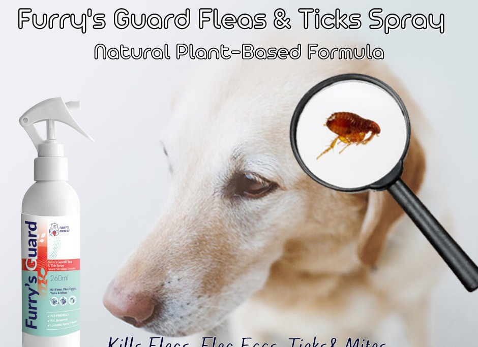 All 4 Paws Pet Shop, Online Shop Shopee Malaysia