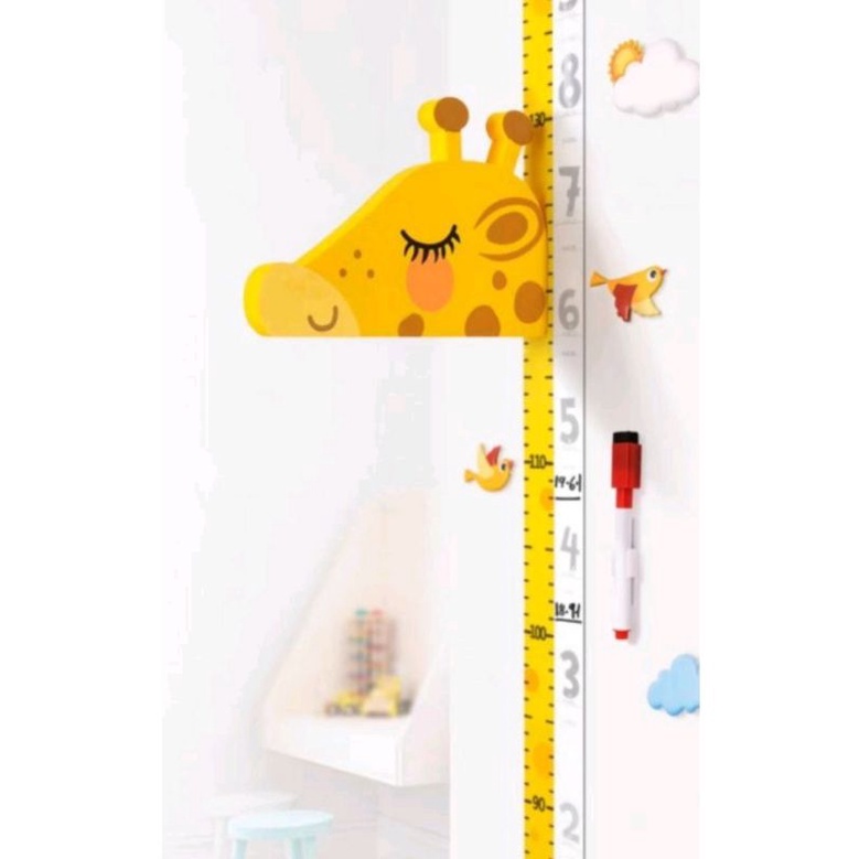 Height Measurement Ruler Children, Measurement Magnetic Wall