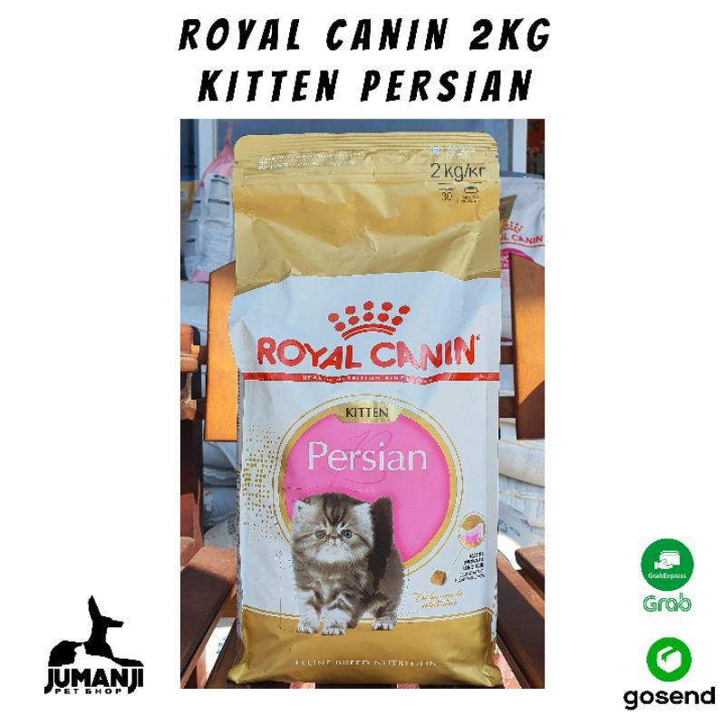 Kitten persian royal outlet canin