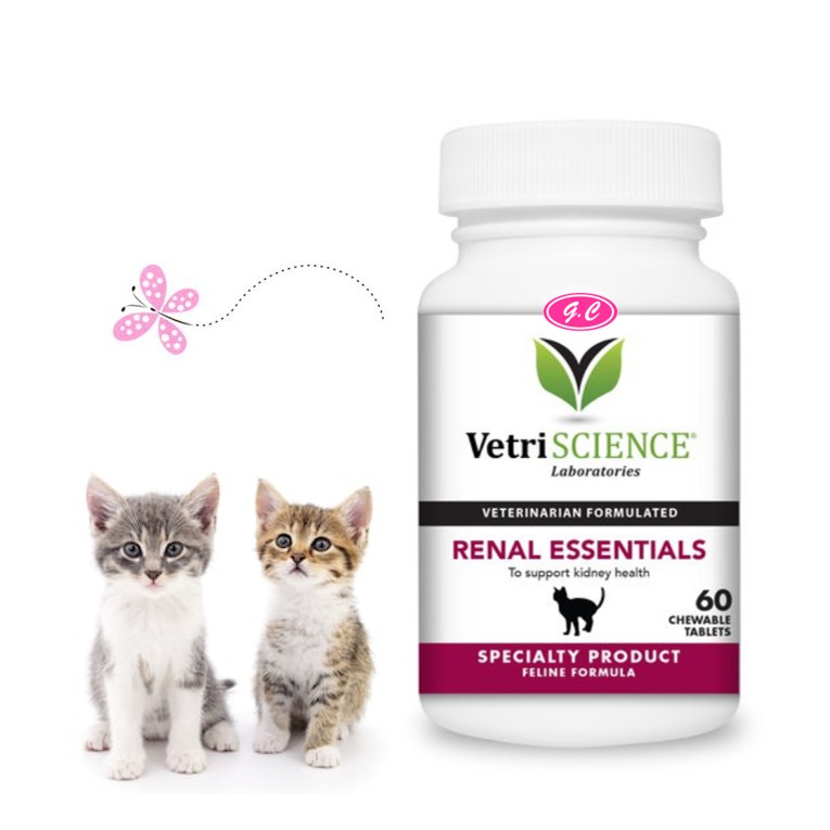 Vetri science renal 2024 essentials for cats