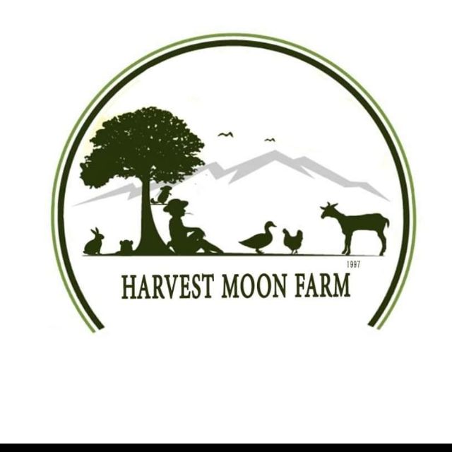 Harvest Moon Farm, Online Shop Shopee Malaysia