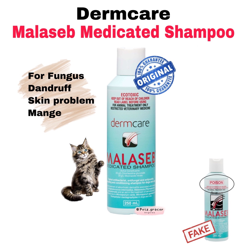 Malaseb shampoo for dogs best sale and cats