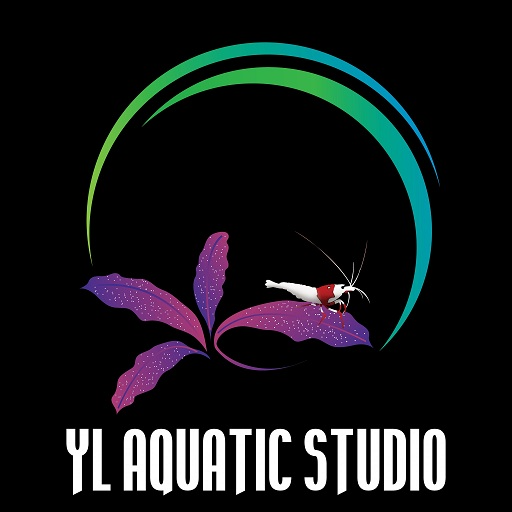 YL AQUATIC STUDIO, Online Shop | Shopee Malaysia