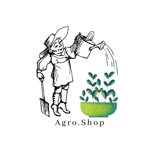 Online Shop Shopee Malaysia