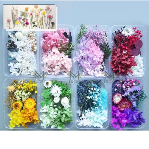 Box of Natural Dried Flowers for Soap, Candle, Frame Decor DIY